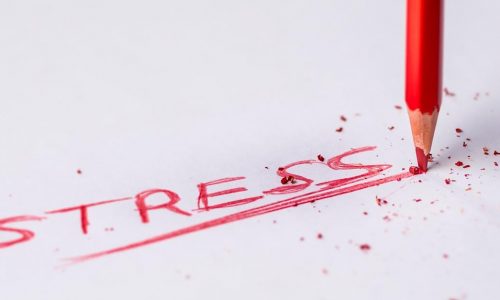 Sådan undgår du en stresset hverdag | 5 gode råd