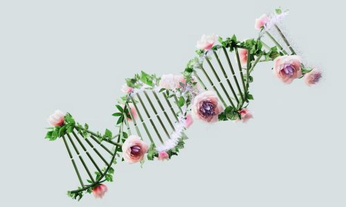 Sådan fungerer en DNA test til privat brug og professionelle formål